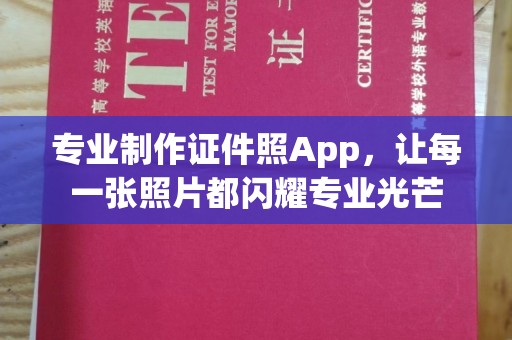 昭苏专业制作证件照App，让每一张照片都闪耀专业光芒