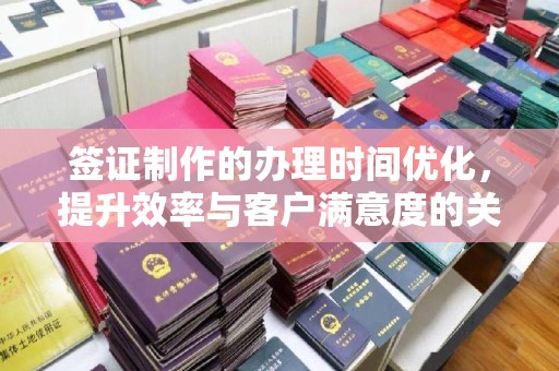 昭苏签证制作的办理时间优化，提升效率与客户满意度的关键
