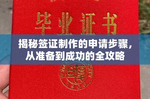 昭苏揭秘签证制作的申请步骤，从准备到成功的全攻略