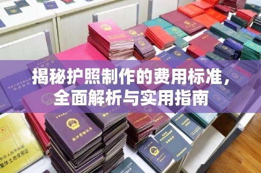 昭苏揭秘护照制作的费用标准，全面解析与实用指南