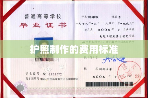 昭苏护照制作的费用标准