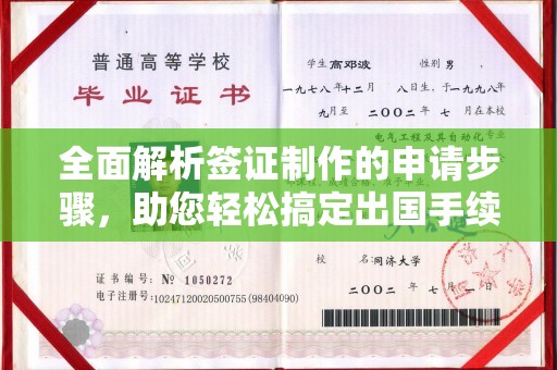 昭苏全面解析签证制作的申请步骤，助您轻松搞定出国手续
