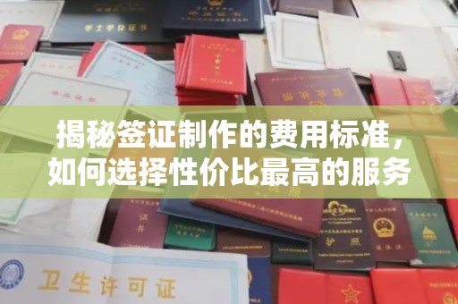 昭苏揭秘签证制作的费用标准，如何选择性价比最高的服务？
