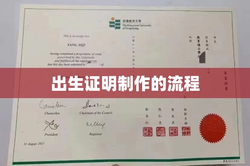 昭苏出生证明制作的流程