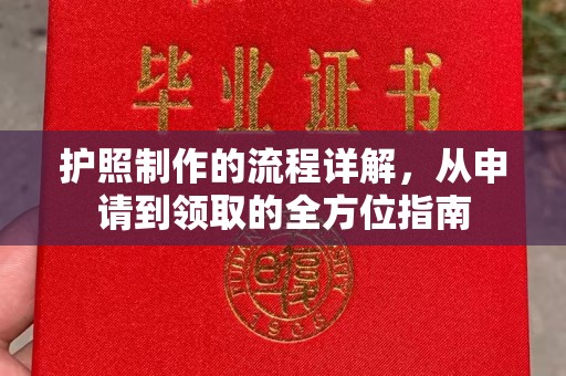 昭苏护照制作的流程详解，从申请到领取的全方位指南