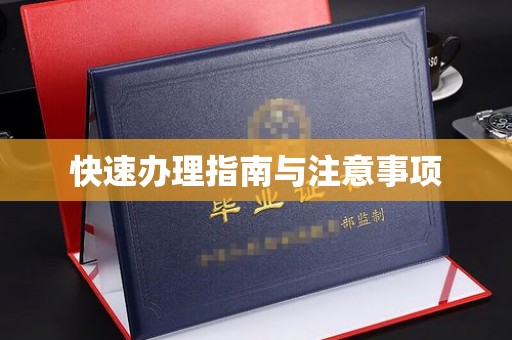 昭苏快速办理指南与注意事项