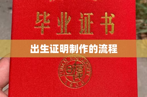 昭苏出生证明制作的流程